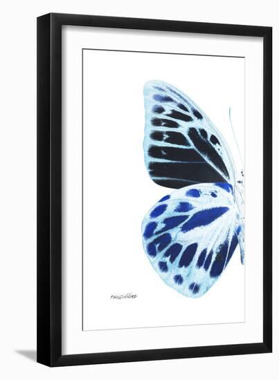 Miss Butterfly Prioneris - X-Ray Left White Edition-Philippe Hugonnard-Framed Photographic Print