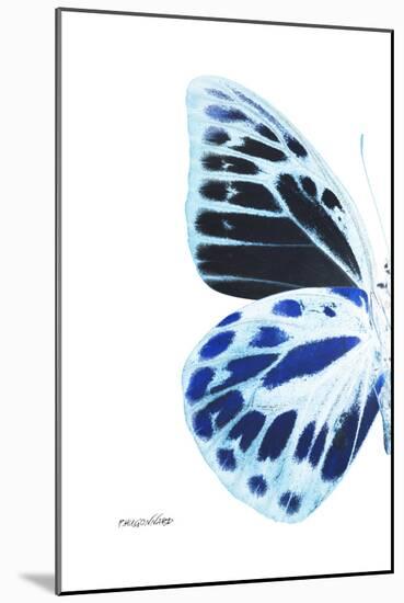 Miss Butterfly Prioneris - X-Ray Left White Edition-Philippe Hugonnard-Mounted Photographic Print