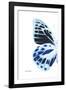 Miss Butterfly Prioneris - X-Ray Left White Edition-Philippe Hugonnard-Framed Photographic Print