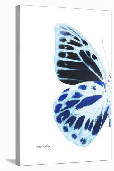 Miss Butterfly Prioneris - X-Ray Left White Edition-Philippe Hugonnard-Stretched Canvas