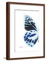 Miss Butterfly Prioneris - X-Ray Left White Edition-Philippe Hugonnard-Framed Photographic Print