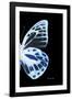 Miss Butterfly Prioneris - X-Ray Right Black Edition-Philippe Hugonnard-Framed Photographic Print