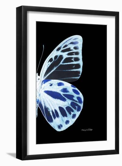 Miss Butterfly Prioneris - X-Ray Right Black Edition-Philippe Hugonnard-Framed Photographic Print