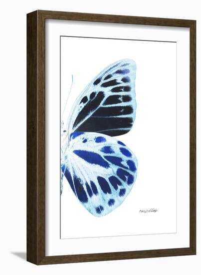 Miss Butterfly Prioneris - X-Ray Right White Edition-Philippe Hugonnard-Framed Photographic Print