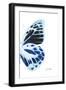 Miss Butterfly Prioneris - X-Ray Right White Edition-Philippe Hugonnard-Framed Photographic Print