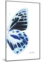 Miss Butterfly Prioneris - X-Ray Right White Edition-Philippe Hugonnard-Mounted Photographic Print