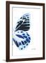 Miss Butterfly Prioneris - X-Ray Right White Edition-Philippe Hugonnard-Framed Photographic Print