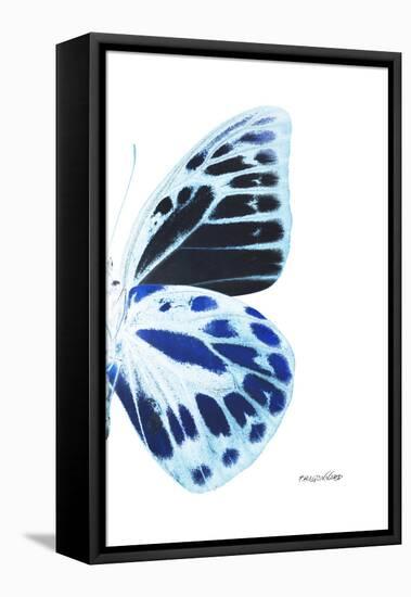 Miss Butterfly Prioneris - X-Ray Right White Edition-Philippe Hugonnard-Framed Stretched Canvas