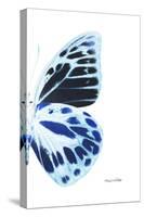 Miss Butterfly Prioneris - X-Ray Right White Edition-Philippe Hugonnard-Stretched Canvas