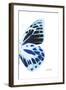 Miss Butterfly Prioneris - X-Ray Right White Edition-Philippe Hugonnard-Framed Photographic Print