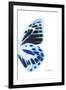 Miss Butterfly Prioneris - X-Ray Right White Edition-Philippe Hugonnard-Framed Photographic Print