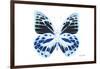 Miss Butterfly Prioneris - X-Ray White Edition-Philippe Hugonnard-Framed Photographic Print