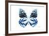 Miss Butterfly Prioneris - X-Ray White Edition-Philippe Hugonnard-Framed Photographic Print