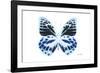 Miss Butterfly Prioneris - X-Ray White Edition-Philippe Hugonnard-Framed Photographic Print