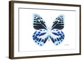 Miss Butterfly Prioneris - X-Ray White Edition-Philippe Hugonnard-Framed Photographic Print