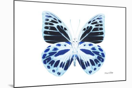 Miss Butterfly Prioneris - X-Ray White Edition-Philippe Hugonnard-Mounted Photographic Print