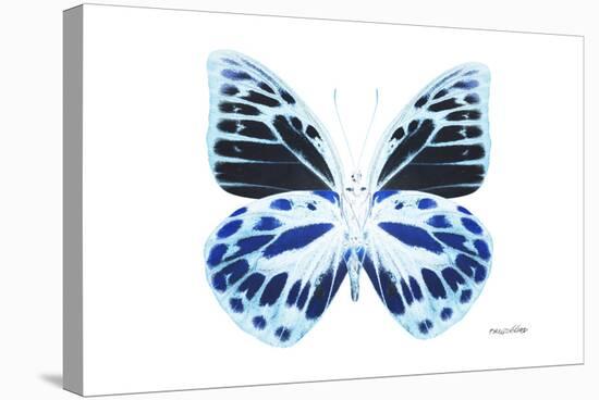 Miss Butterfly Prioneris - X-Ray White Edition-Philippe Hugonnard-Stretched Canvas