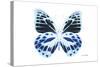 Miss Butterfly Prioneris - X-Ray White Edition-Philippe Hugonnard-Stretched Canvas