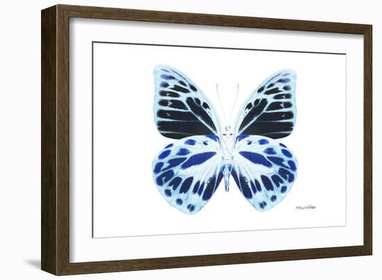 Miss Butterfly Prioneris - X-Ray White Edition-Philippe Hugonnard-Framed Photographic Print