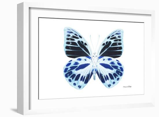 Miss Butterfly Prioneris - X-Ray White Edition-Philippe Hugonnard-Framed Photographic Print