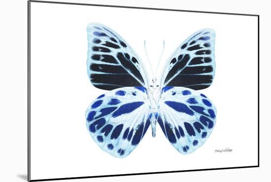 Miss Butterfly Prioneris - X-Ray White Edition-Philippe Hugonnard-Mounted Photographic Print