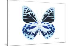 Miss Butterfly Prioneris - X-Ray White Edition-Philippe Hugonnard-Stretched Canvas