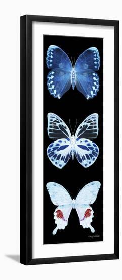 Miss Butterfly X-Ray Black Pano II-Philippe Hugonnard-Framed Premium Photographic Print