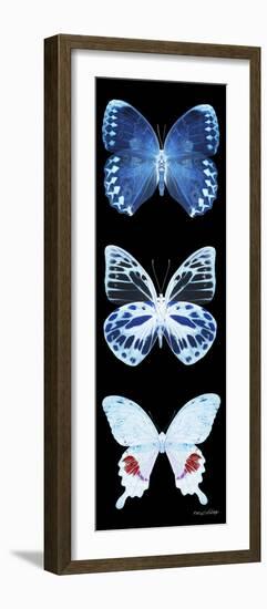 Miss Butterfly X-Ray Black Pano II-Philippe Hugonnard-Framed Photographic Print