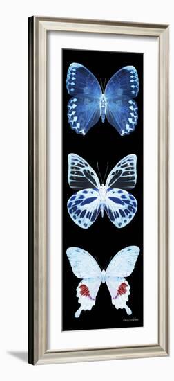 Miss Butterfly X-Ray Black Pano II-Philippe Hugonnard-Framed Photographic Print