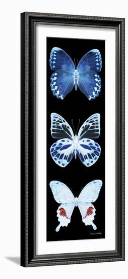 Miss Butterfly X-Ray Black Pano II-Philippe Hugonnard-Framed Photographic Print