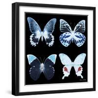 Miss Butterfly X-Ray Black Square II-Philippe Hugonnard-Framed Photographic Print