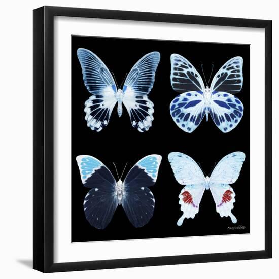 Miss Butterfly X-Ray Black Square II-Philippe Hugonnard-Framed Photographic Print