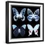 Miss Butterfly X-Ray Black Square II-Philippe Hugonnard-Framed Photographic Print