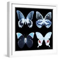 Miss Butterfly X-Ray Black Square II-Philippe Hugonnard-Framed Photographic Print