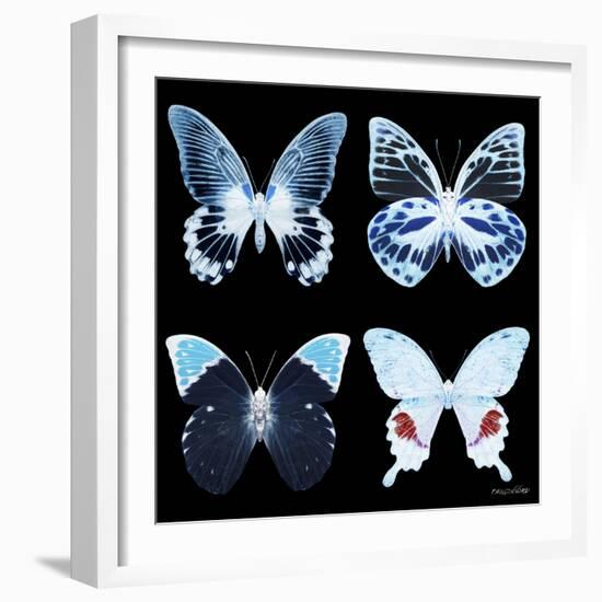 Miss Butterfly X-Ray Black Square II-Philippe Hugonnard-Framed Photographic Print