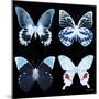 Miss Butterfly X-Ray Black Square II-Philippe Hugonnard-Mounted Photographic Print