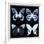 Miss Butterfly X-Ray Black Square II-Philippe Hugonnard-Framed Photographic Print