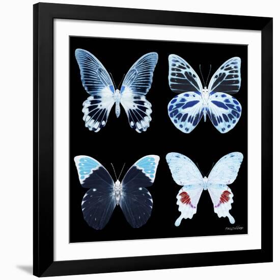 Miss Butterfly X-Ray Black Square II-Philippe Hugonnard-Framed Photographic Print