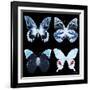 Miss Butterfly X-Ray Black Square II-Philippe Hugonnard-Framed Photographic Print