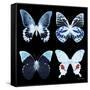 Miss Butterfly X-Ray Black Square II-Philippe Hugonnard-Framed Stretched Canvas