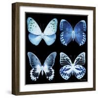 Miss Butterfly X-Ray Black Square-Philippe Hugonnard-Framed Photographic Print