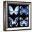 Miss Butterfly X-Ray Black Square-Philippe Hugonnard-Framed Photographic Print