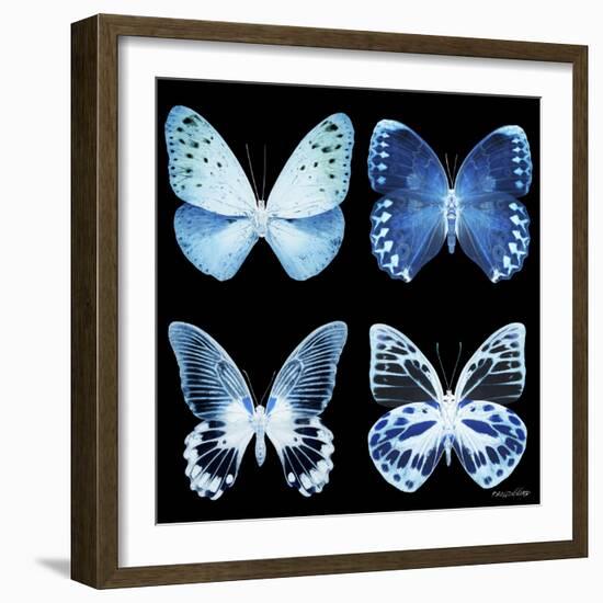 Miss Butterfly X-Ray Black Square-Philippe Hugonnard-Framed Photographic Print