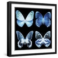 Miss Butterfly X-Ray Black Square-Philippe Hugonnard-Framed Photographic Print