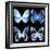 Miss Butterfly X-Ray Black Square-Philippe Hugonnard-Framed Photographic Print