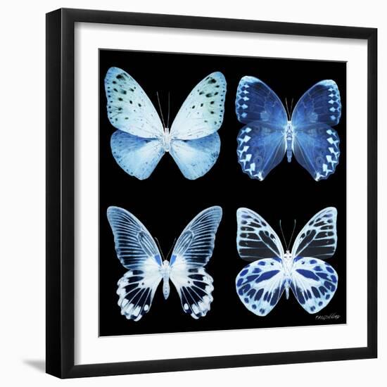 Miss Butterfly X-Ray Black Square-Philippe Hugonnard-Framed Photographic Print