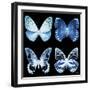 Miss Butterfly X-Ray Black Square-Philippe Hugonnard-Framed Photographic Print