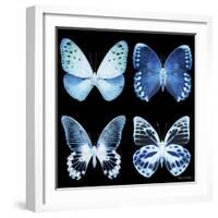 Miss Butterfly X-Ray Black Square-Philippe Hugonnard-Framed Photographic Print