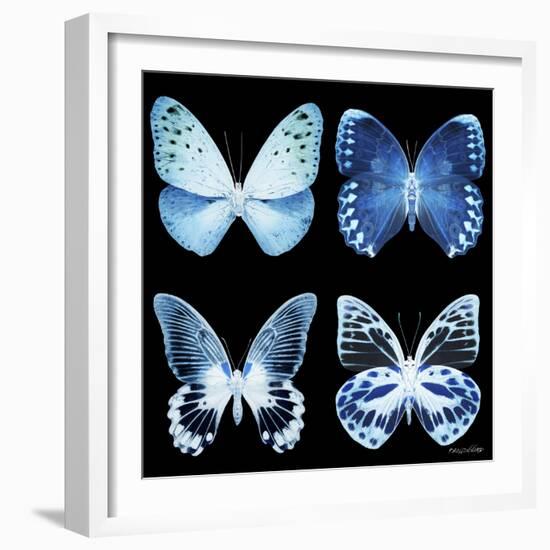 Miss Butterfly X-Ray Black Square-Philippe Hugonnard-Framed Photographic Print