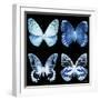 Miss Butterfly X-Ray Black Square-Philippe Hugonnard-Framed Photographic Print